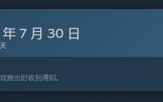 鸟之谜什么时候发布
