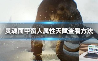 灵魂面甲怎么查看蛮人属性