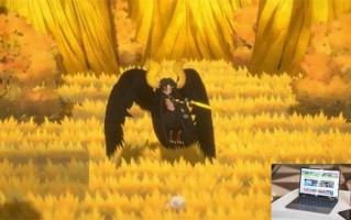 妖之乡闪光怎么增加概率