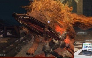 艾尔登法环红狼打了有什么影响