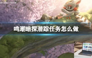 鸣潮暗探潜踪任务怎么做