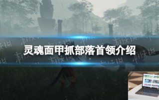 灵魂面甲部落首领能抓吗