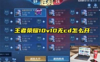 王者荣耀10v10无cd怎么开