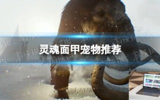 灵魂面甲宠物推荐