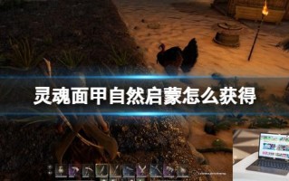 灵魂面甲自然启蒙怎么获得