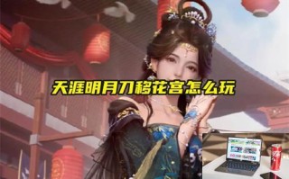 天涯明月刀移花宫怎么玩