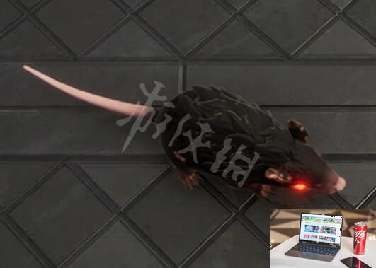 夜族崛起老鼠形态有什么用-第2张图片-游戏攻略日记