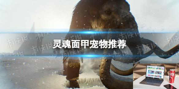 灵魂面甲宠物推荐-第1张图片-游戏攻略日记