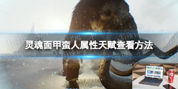 灵魂面甲怎么查看蛮人属性-第1张图片-游戏攻略日记