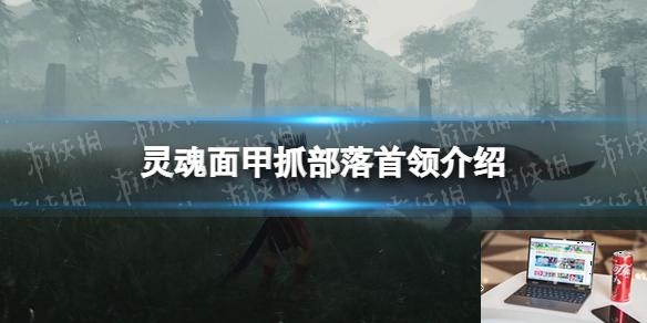 灵魂面甲部落首领能抓吗-第1张图片-游戏攻略日记