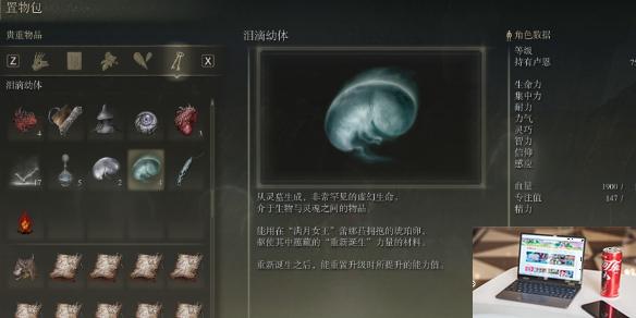 艾尔登法环dlc泪滴幼体位置分享-第1张图片-游戏攻略日记