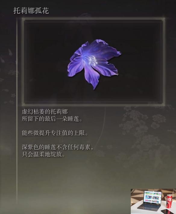 艾尔登法环dlc托莉娜孤花怎么获得-第2张图片-游戏攻略日记