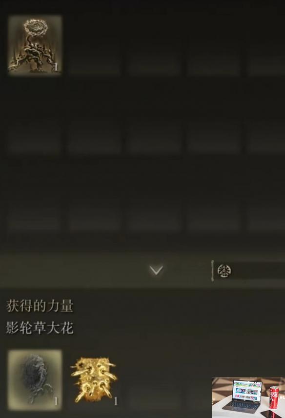 艾尔登法环dlc强力特大武器推荐-第4张图片-游戏攻略日记