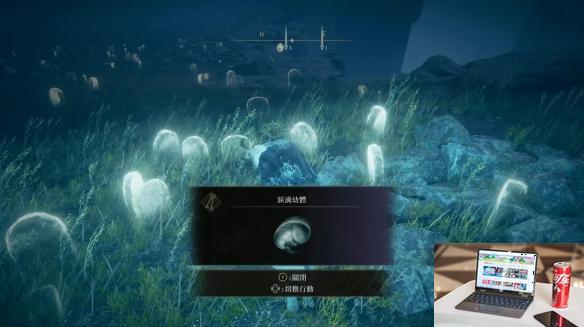 艾尔登法环dlc全泪滴幼体位置一览-第4张图片-游戏攻略日记