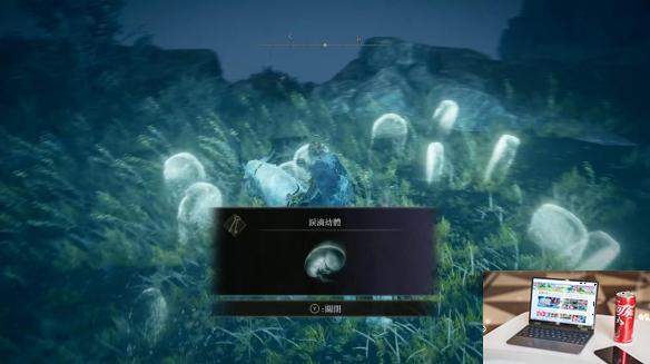 艾尔登法环dlc全泪滴幼体位置一览-第7张图片-游戏攻略日记