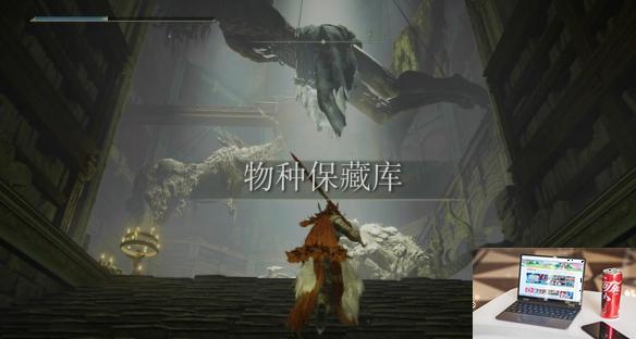 艾尔登法环dlc老将盖乌斯在哪-第3张图片-游戏攻略日记