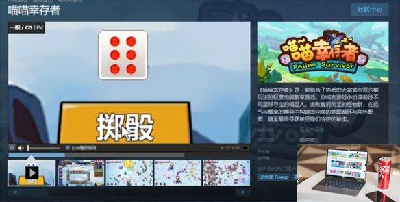 喵喵幸存者支持家庭共享吗-第1张图片-游戏攻略日记